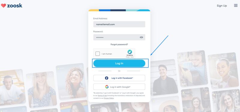 Zoosk Account - Click the LOG IN button