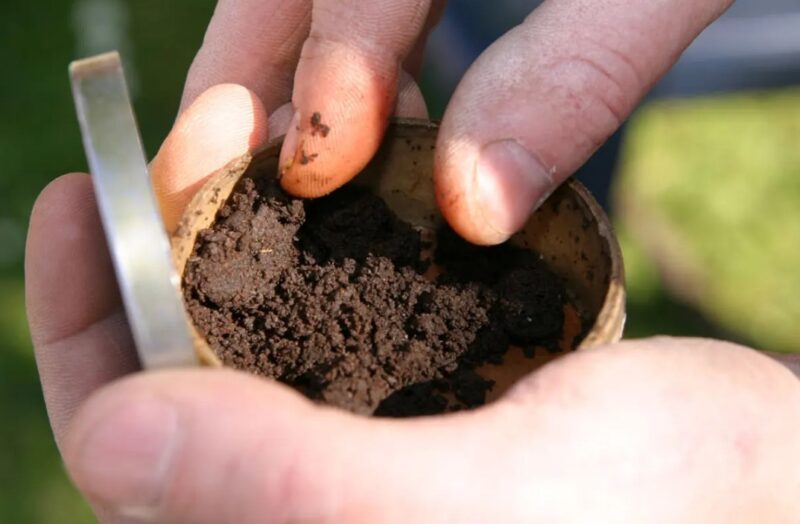 Smokeless Tobacco in European Culture