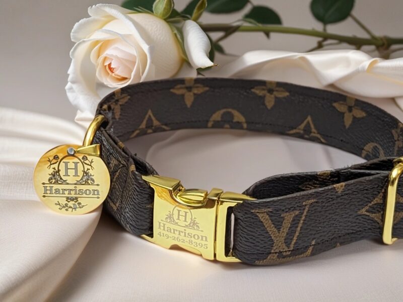 Designer Dog Collar