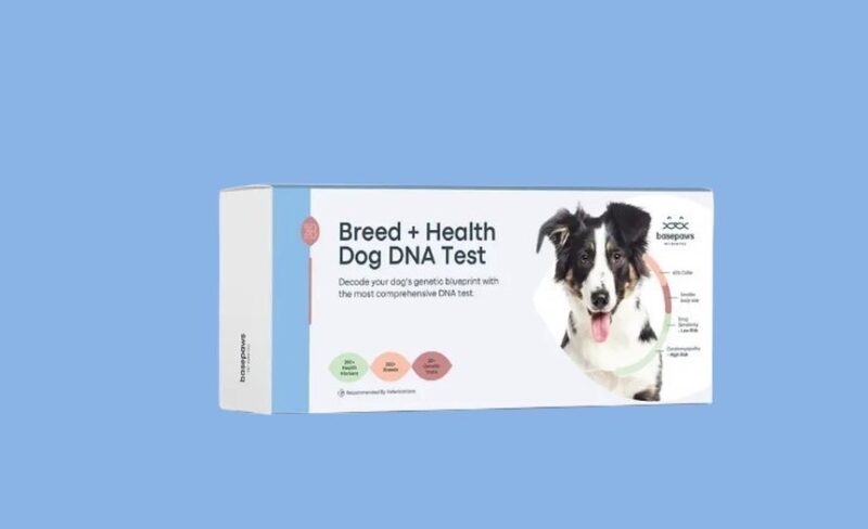Breed + Health Testing