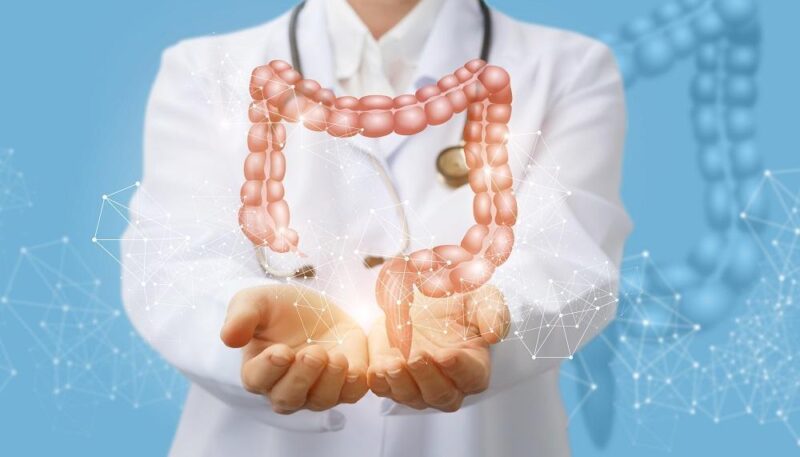 Support Your Gut Health