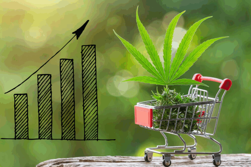 CBD Market