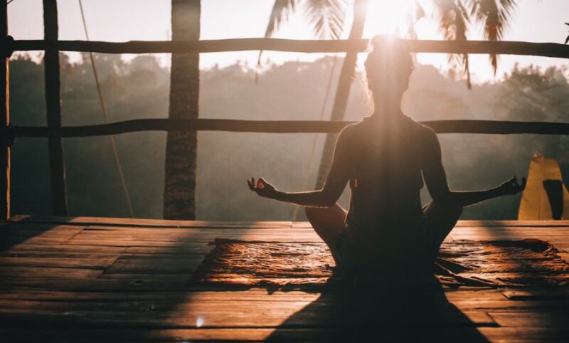 CBD Market for Optimal Wellness Choices