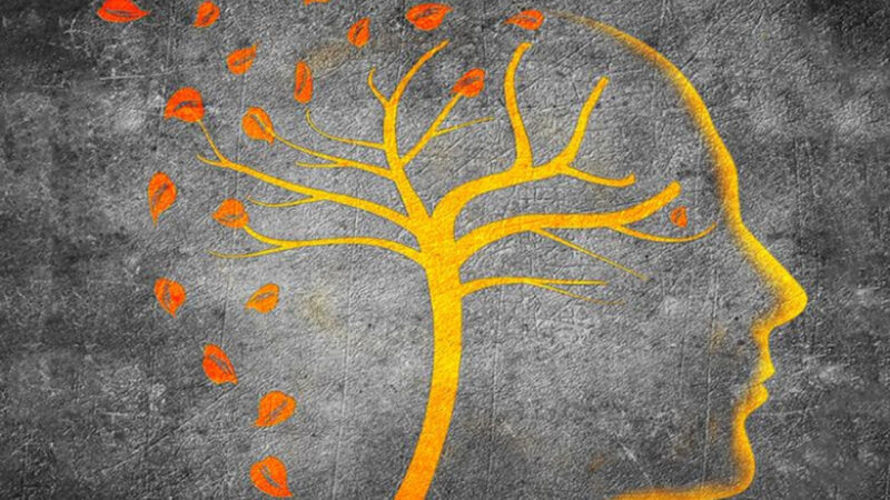 What is dementia