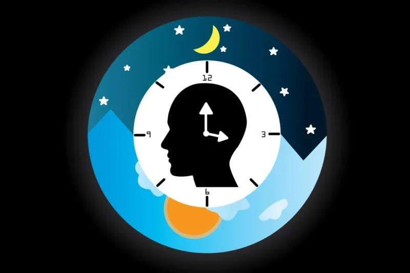 Circadian Rhythm