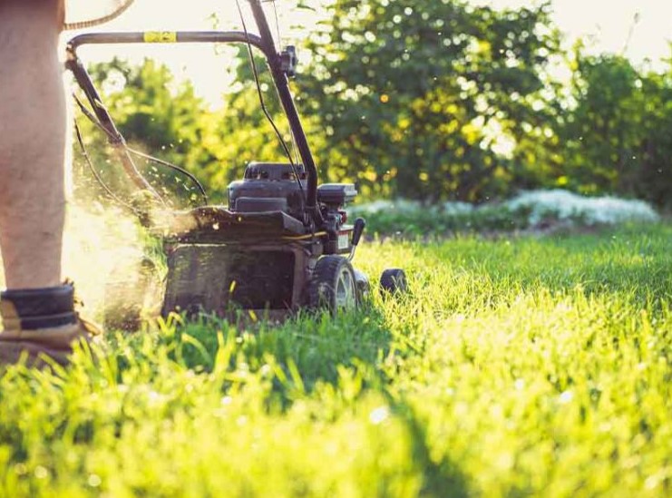 Clear the space around your mower