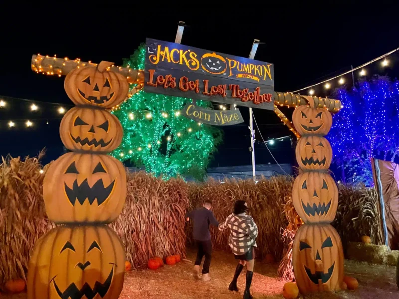 Jack Pumpkin Pop-up
