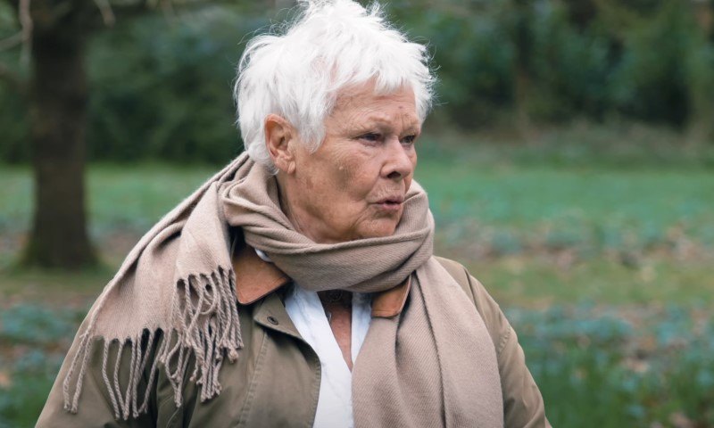 Judi Dench speaks during TV interview