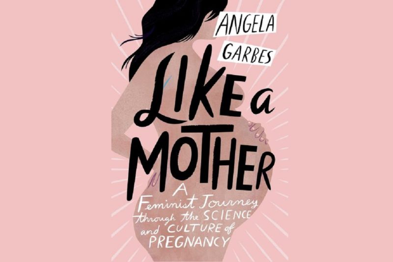 Like a Mother by Angela Garbes