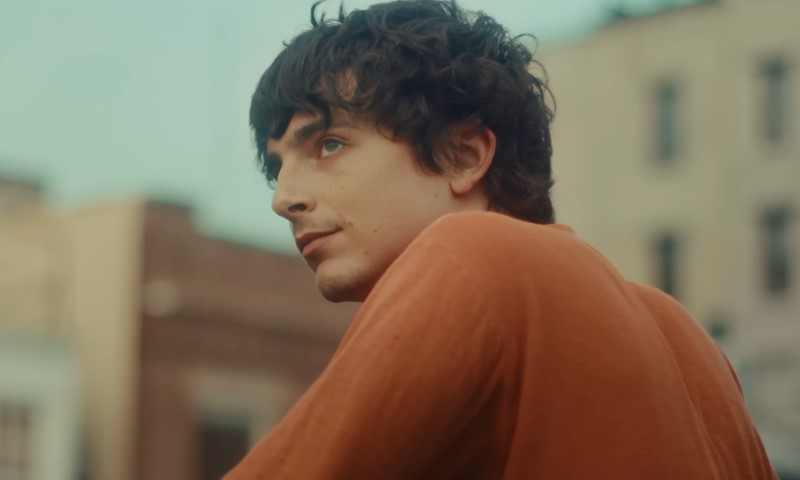 Timothée Chalamet, gazes thoughtfully off to the side