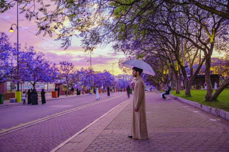 Spring in Saudi Arabia