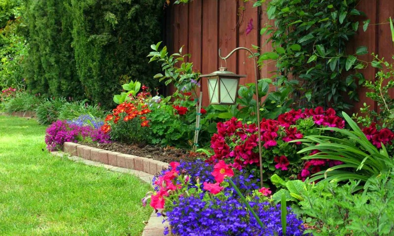 Lush garden with vibrant flowers in red, purple, and blue bordering a brown wooden fence
