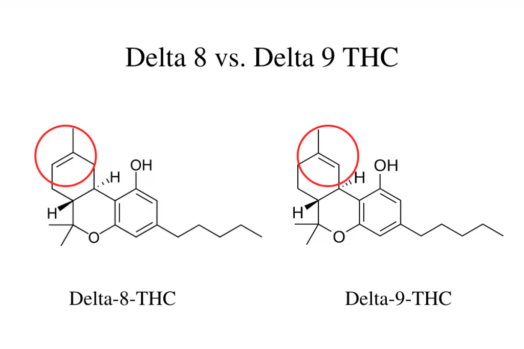 Delta 8 vs Delta 9 THC
