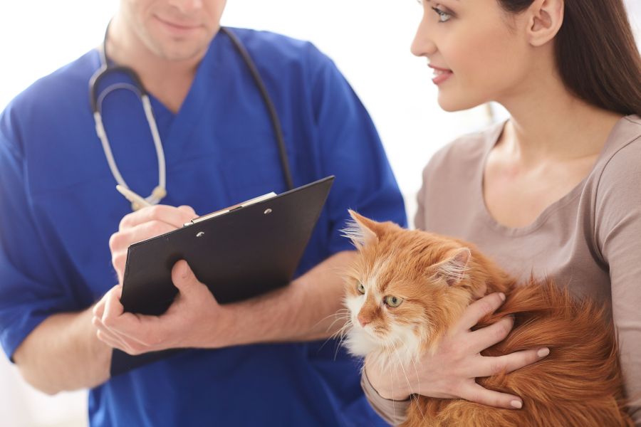 Veterinary Osteopath