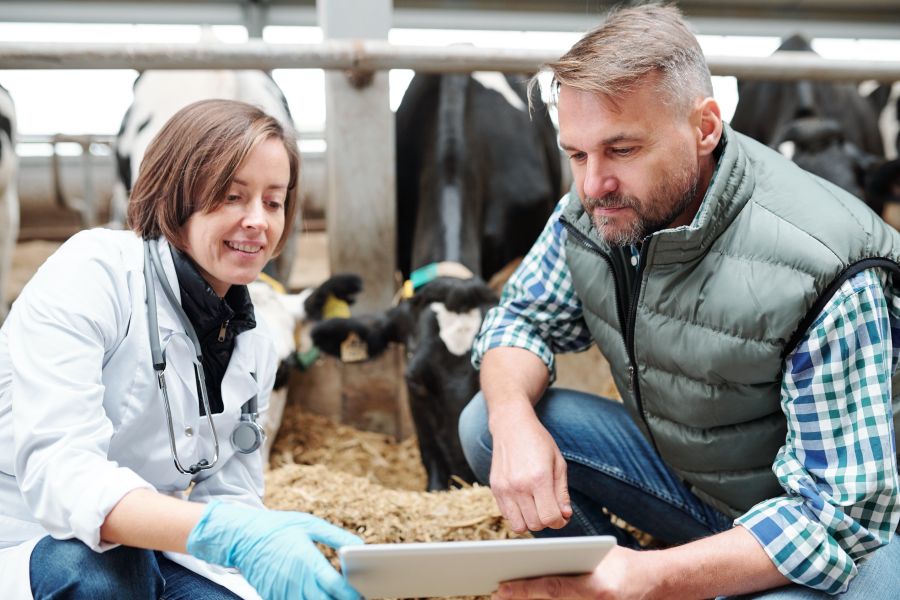 Veterinary Osteopath