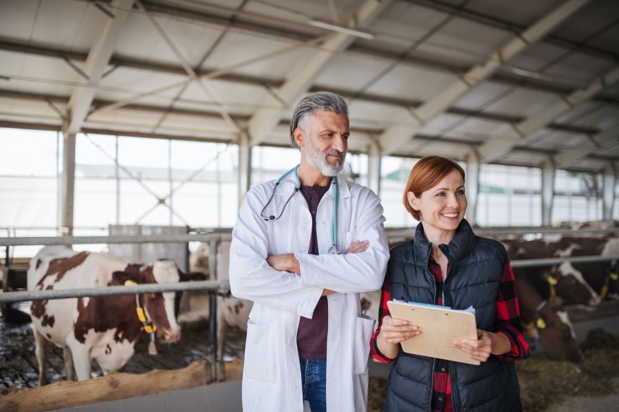 veterinary osteopath 