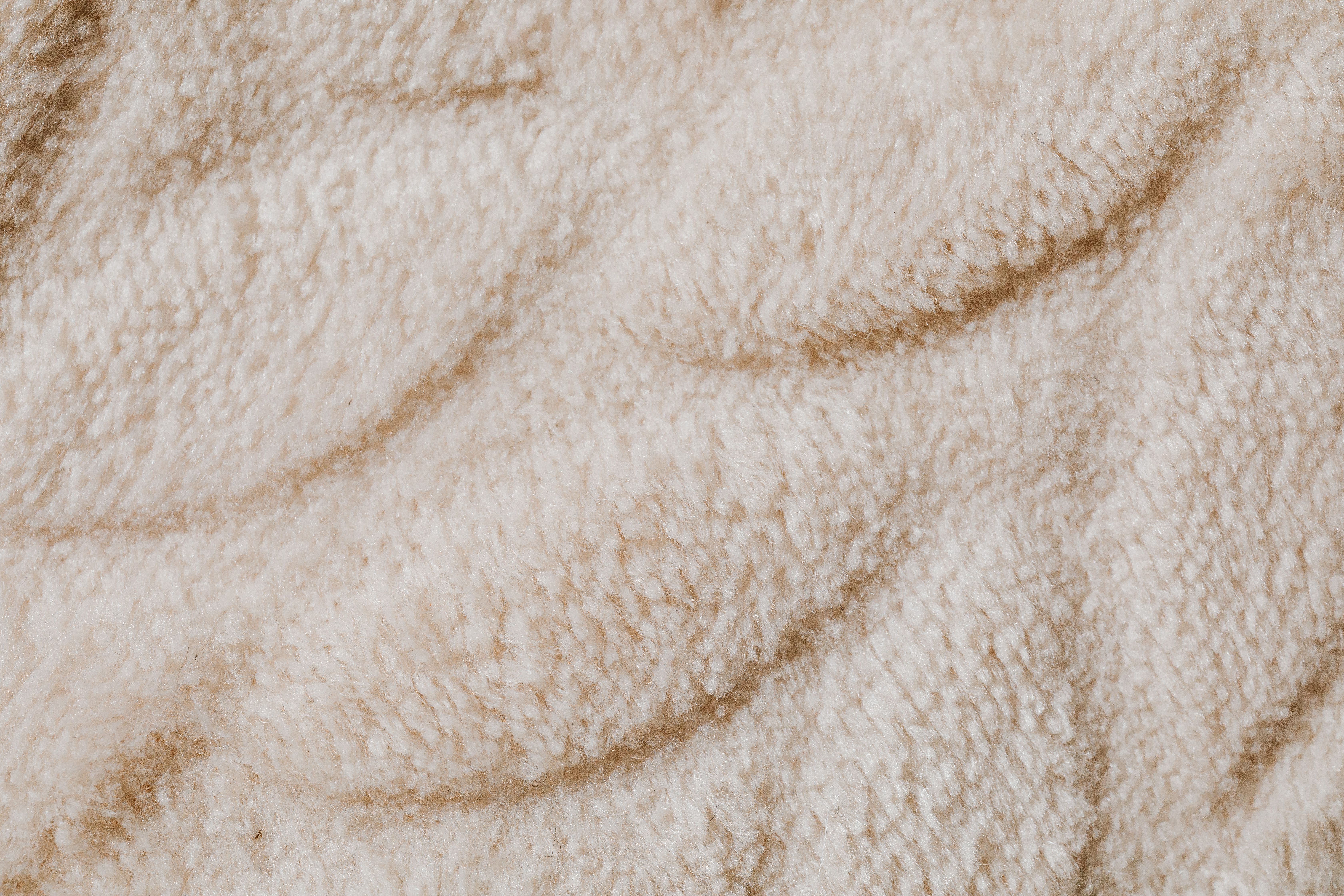 Close-up of soft, plush beige carpet fibers showing warm texture