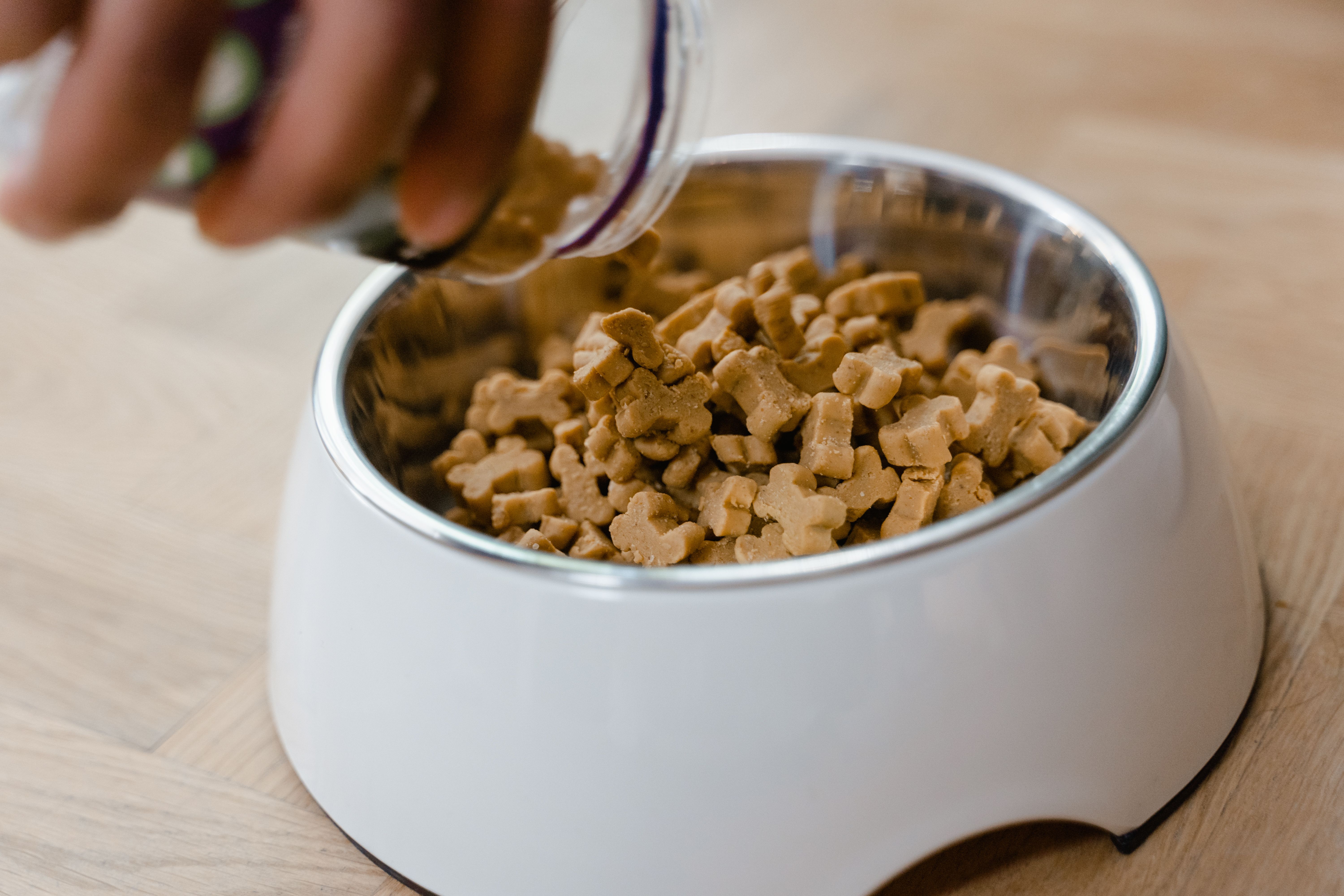 Hand pouring dog biscuits into a bowl to measure a dog's daily food portion